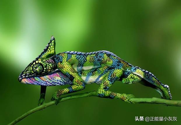 契诃夫变色龙（契诃夫变色龙思维导图）